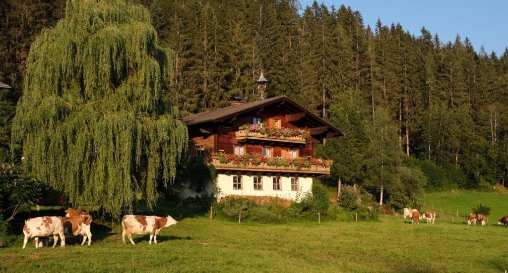 Вилла Ellmauhof Пфаррверфен Экстерьер фото